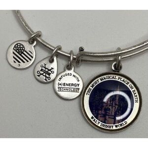 Alex and Ani Disney Walt Disney World Bracelet Silver Tone Charm Bangle